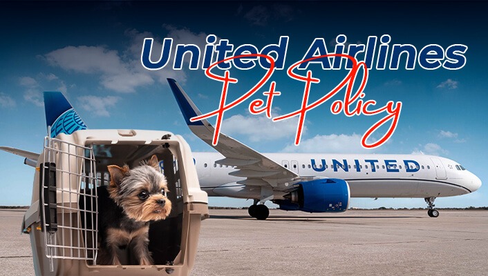 United Airlines Pet Policy
