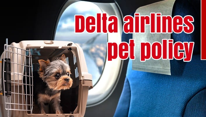 What Does the Delta Airliens Pet Policy Say?